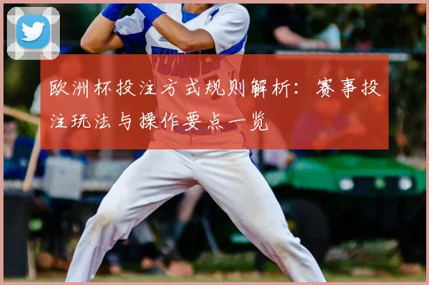 欧洲杯投注方式规则解析:赛事投注玩法与操作要点一览
